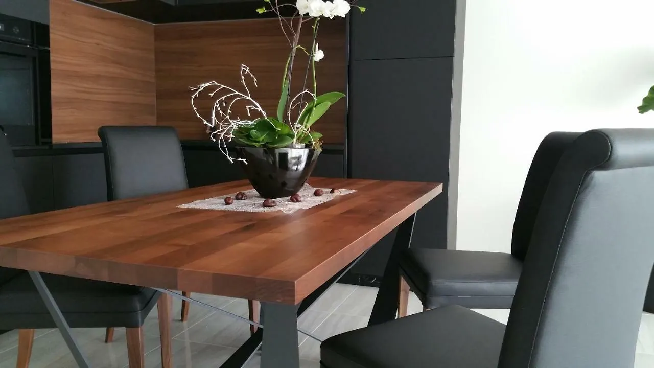 Premium City Apartement Stuttgart Apartment